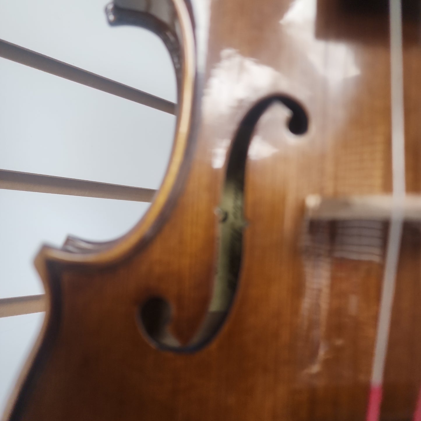 Stentor 1500 Student II 3/4 Violin (HOLIDAY SALE)