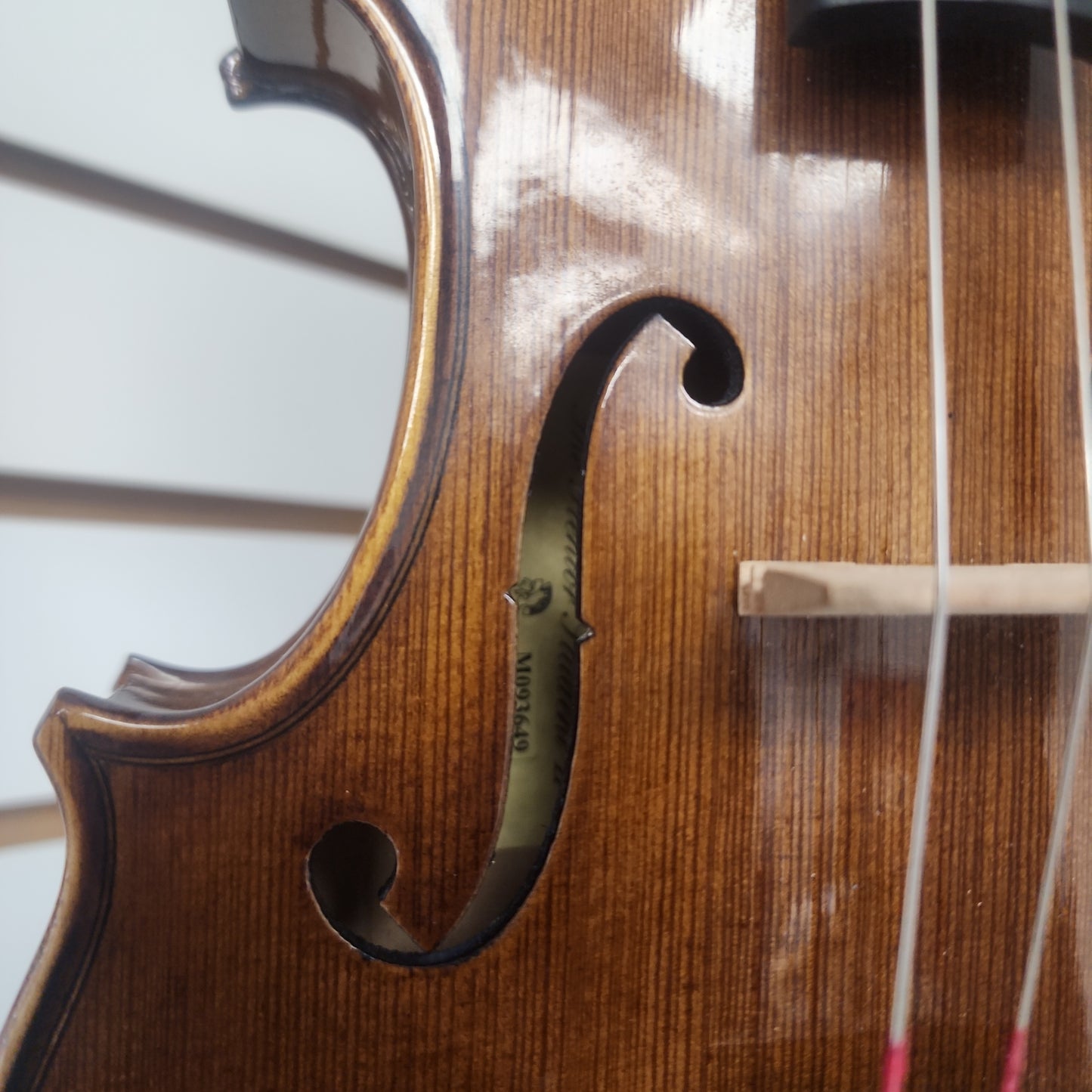 Stentor 1500 Student II 3/4 Violin (HOLIDAY SALE)