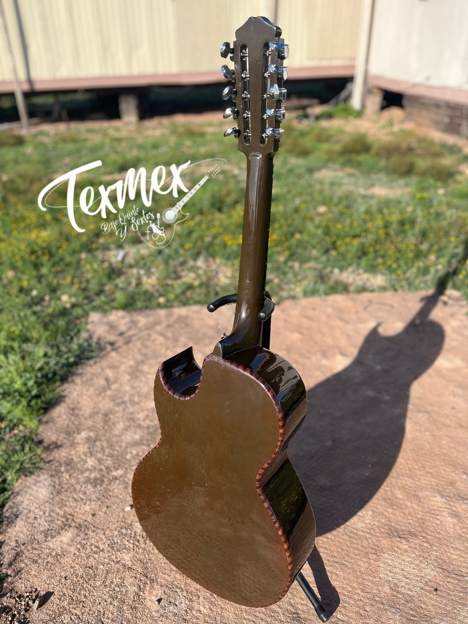 Tex-Mex Bajo Quinto (Painted Cedar back & Sides - Walnut Top) FREE custom case included!