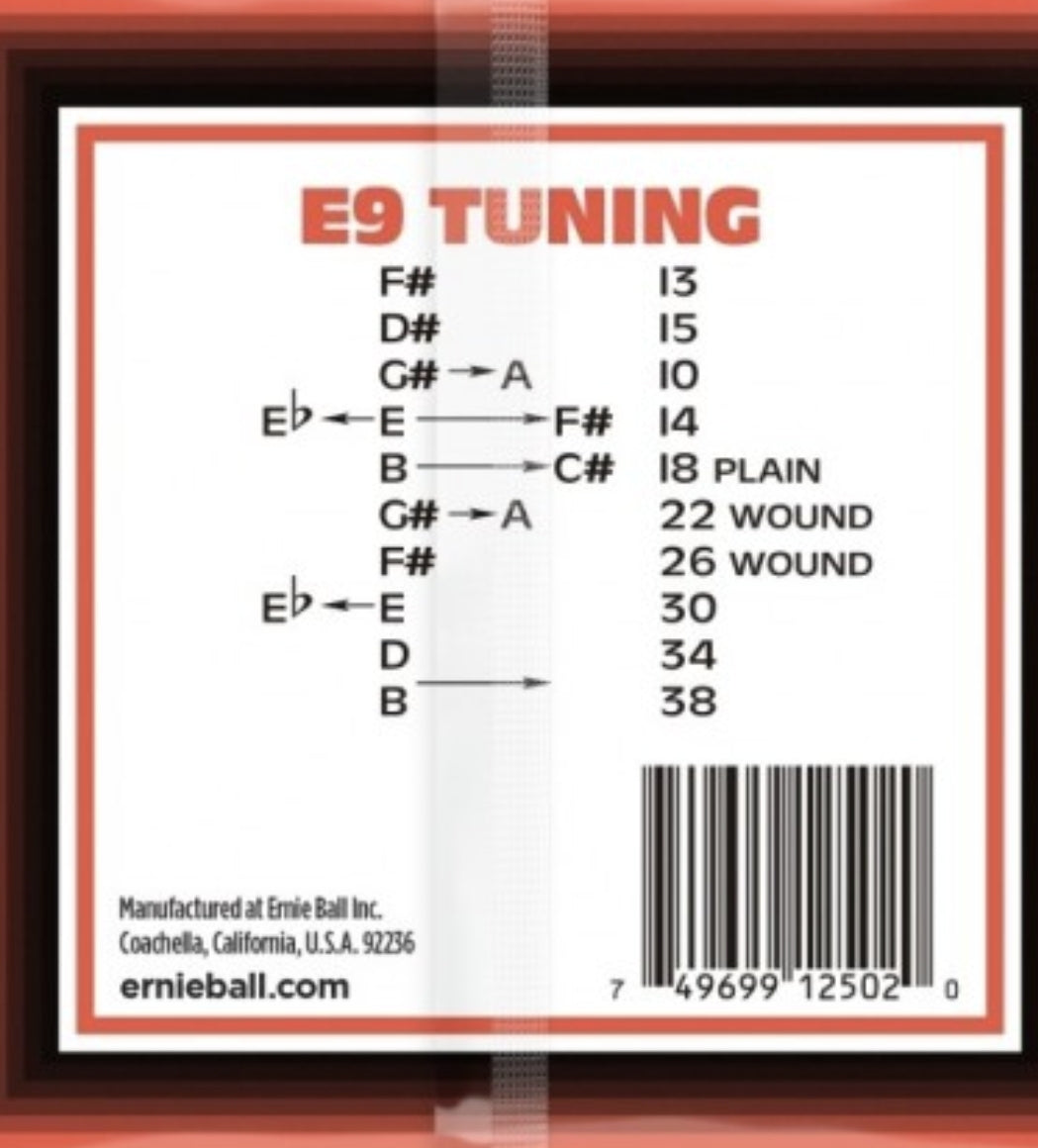 Ernie Ball 2502 10-String E9 Tuning, Pedal Steel Guitar Strings (.013-.038)