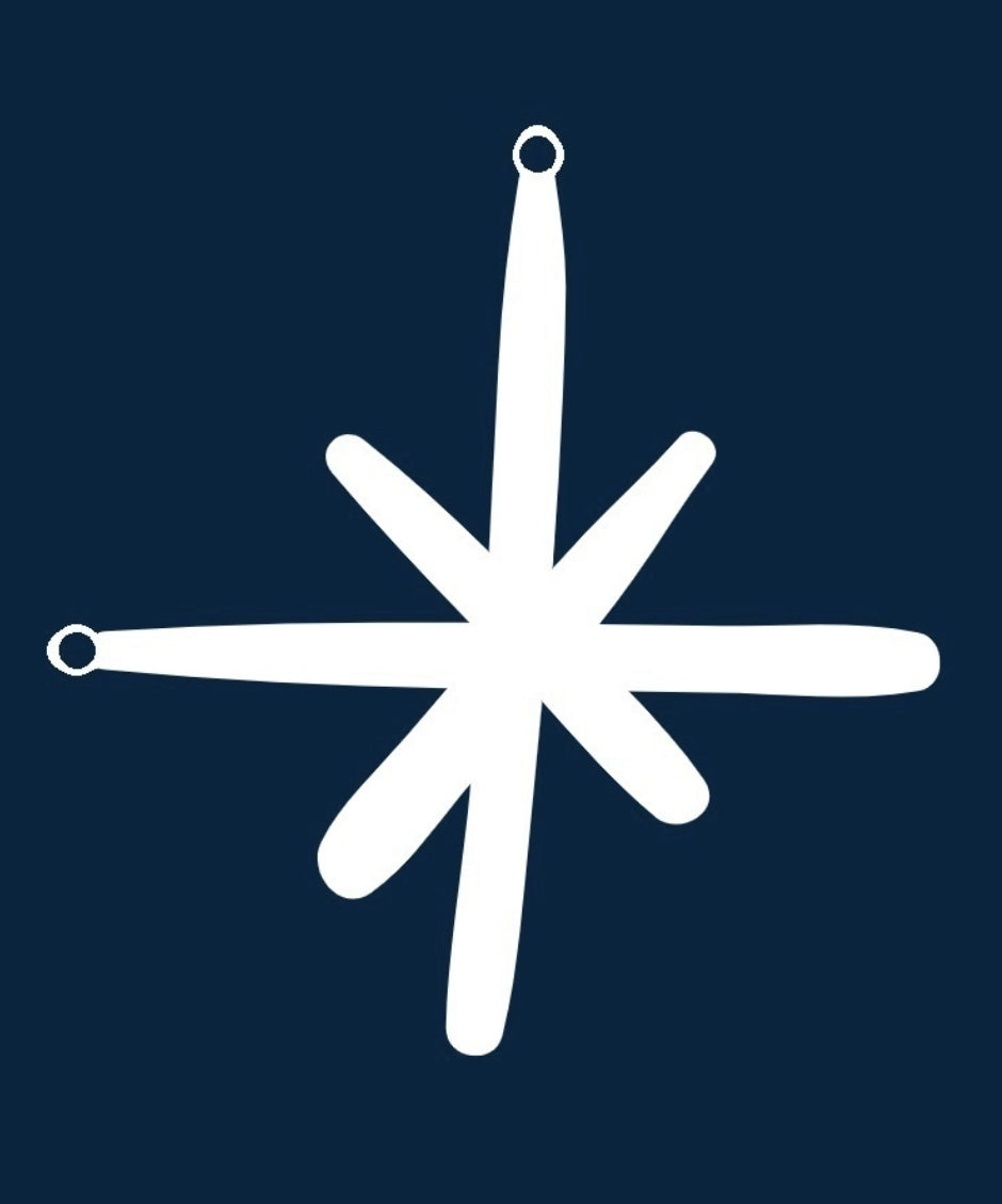 The Star Music Shop