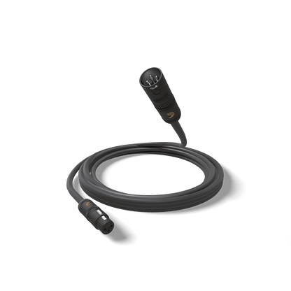 D'Addario American Stage XLR Microphone/Powered Speaker Cable, XLR to XLR - 25ft.