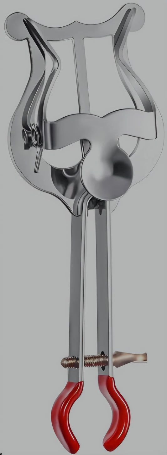 Trumpet red clip lyre