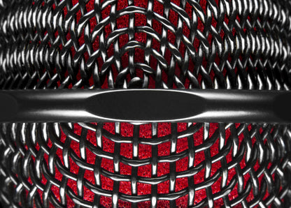 sE Electronics V2 Switch Handheld Supercardioid Dynamic Microphone